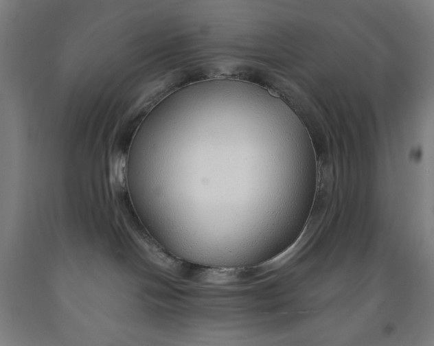 X0000091860094200709261303