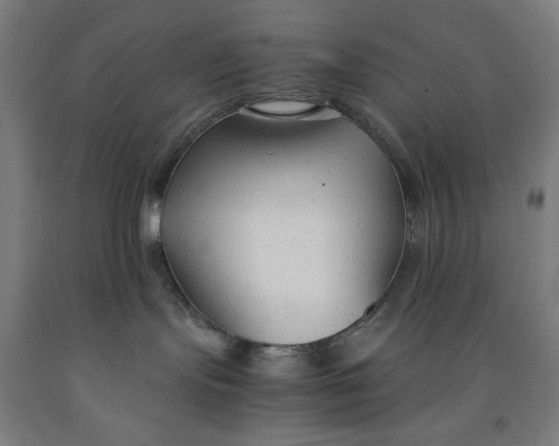 X0000091860095200709261303