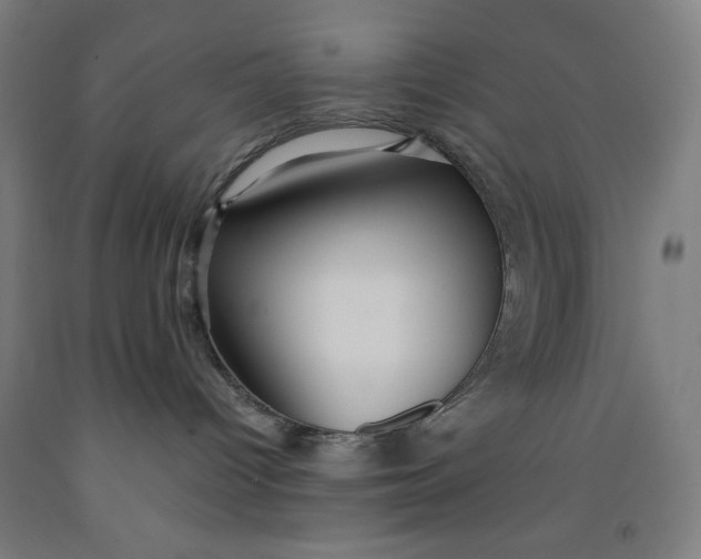 X0000091860096200709261303