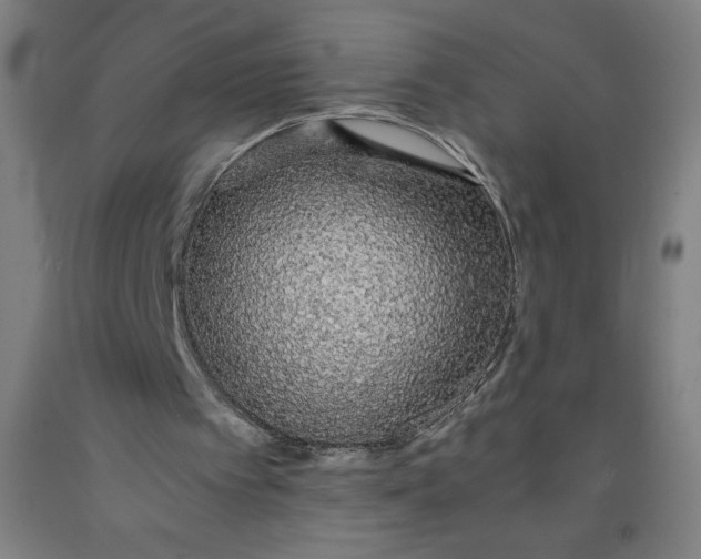 X0000091860097200709261303