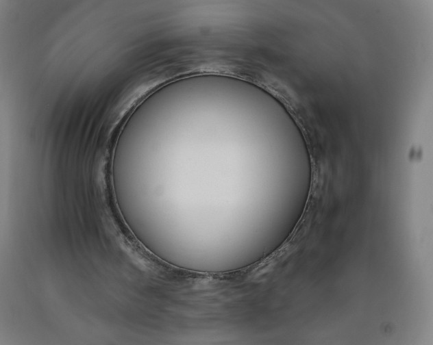 X0000091860098200709261303