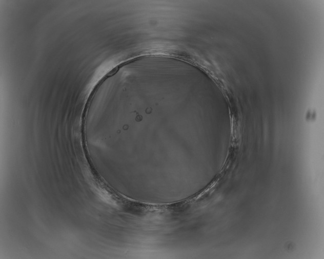 X0000091860099200709261303