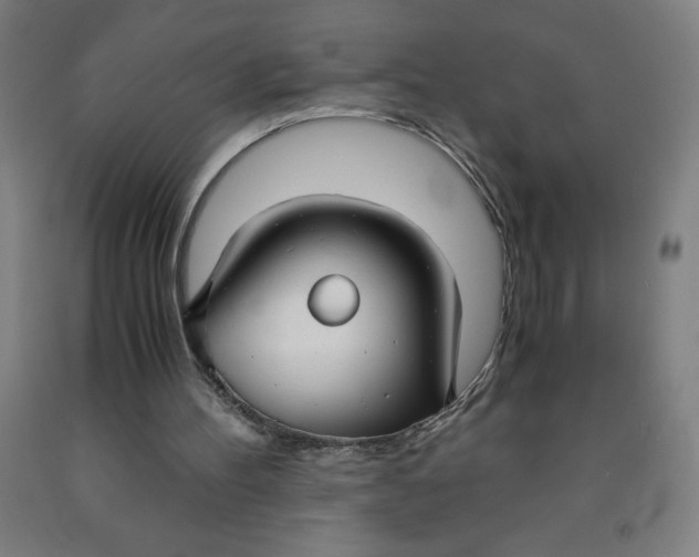 X0000091860100200709261303