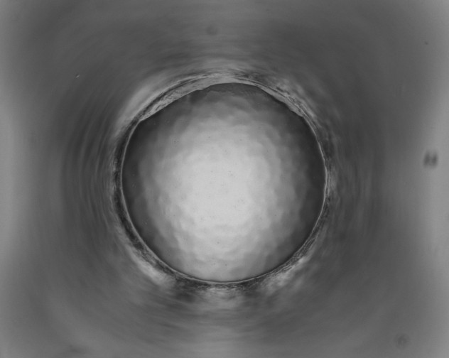 X0000091860101200709261303