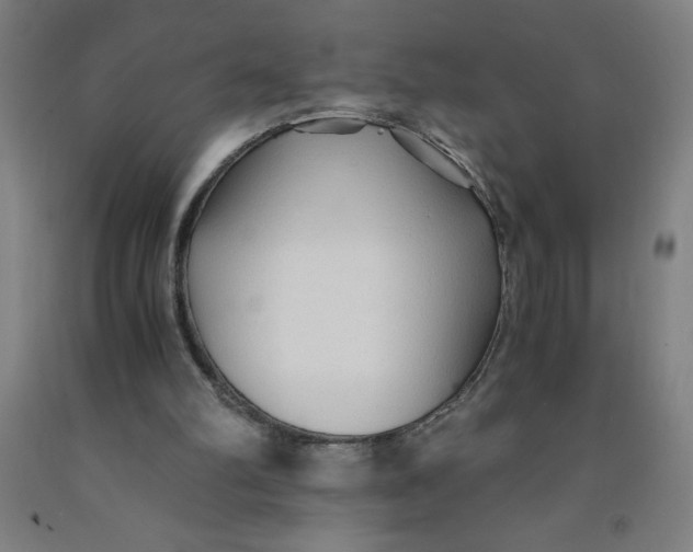 X0000091860102200709261303