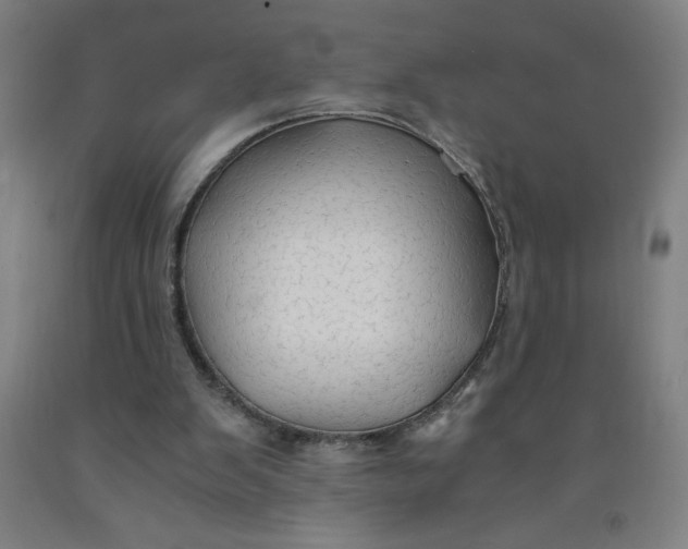 X0000091860103200709261303