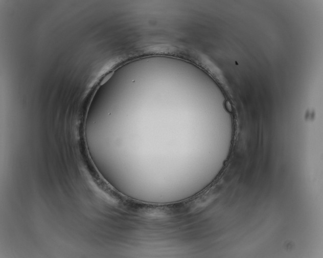 X0000091860106200709261302