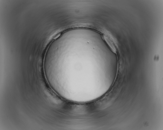 X0000091860107200709261302