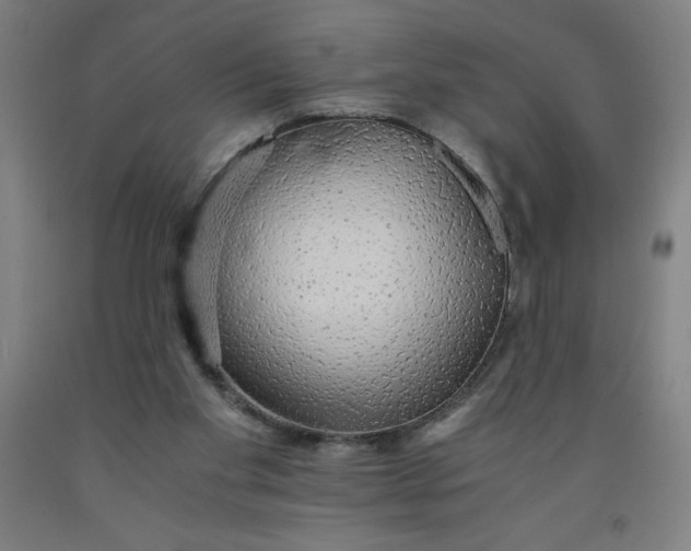 X0000091860109200709261302