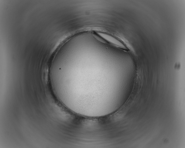 X0000091860110200709261302