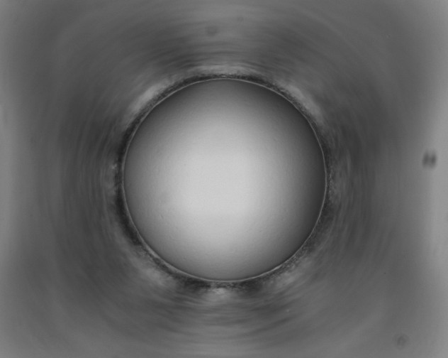 X0000091860111200709261302