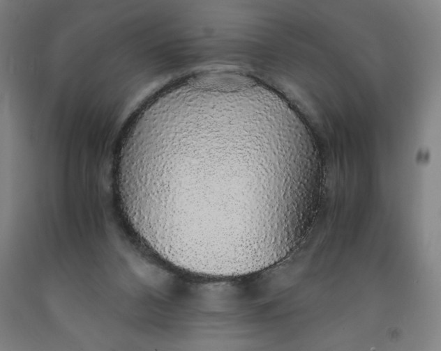 X0000091860112200709261302