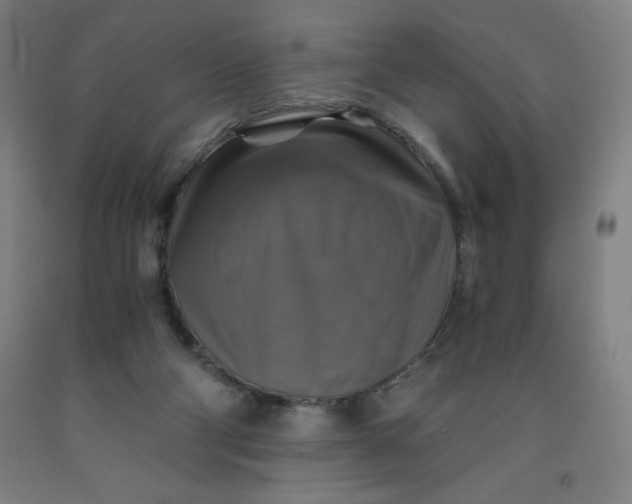 X0000091860114200709261302