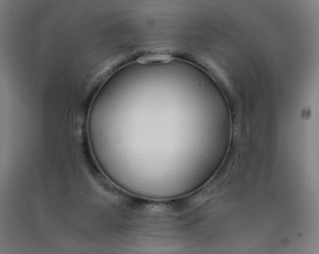 X0000091860115200709261302