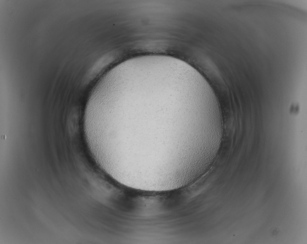 X0000091860120200709261302