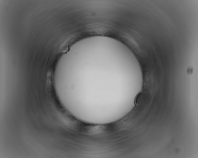 X0000091860122200709261302