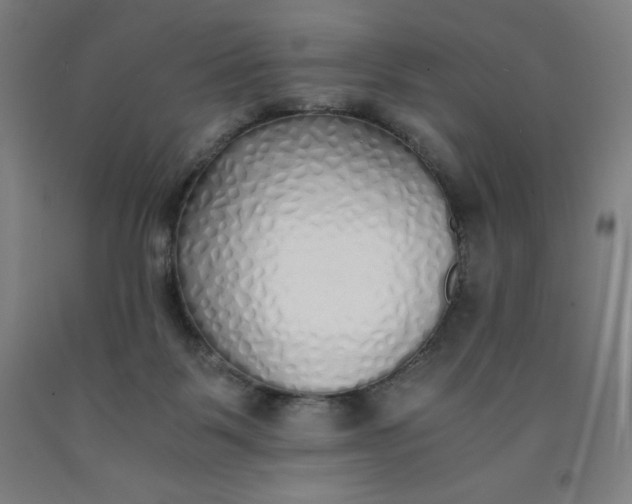 X0000091860123200709261302