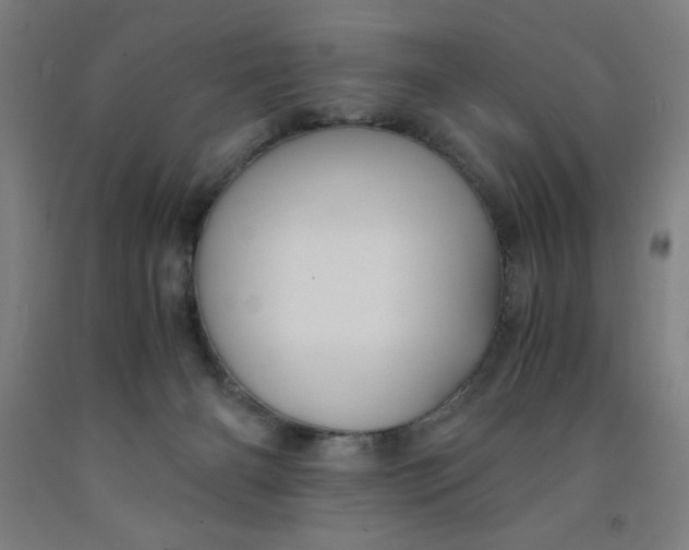 X0000091860126200709261302