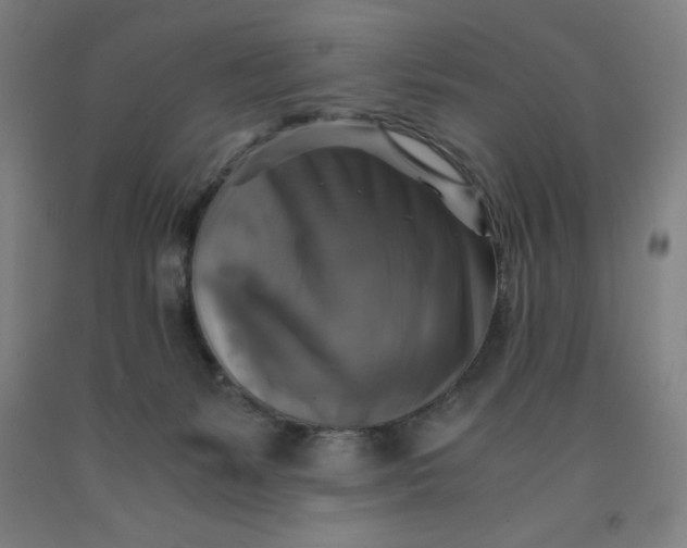 X0000091860127200709261302