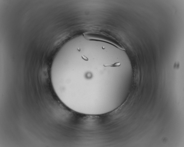 X0000091860128200709261302