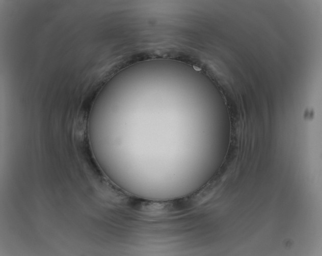 X0000091860129200709261302