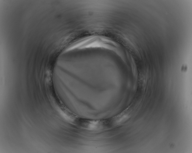 X0000091860130200709261302