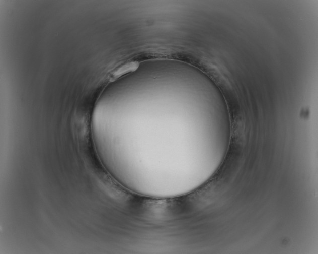 X0000091860131200709261302