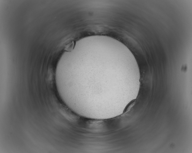 X0000091860132200709261302