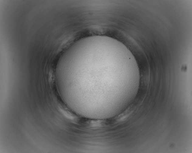 X0000091860134200709261302