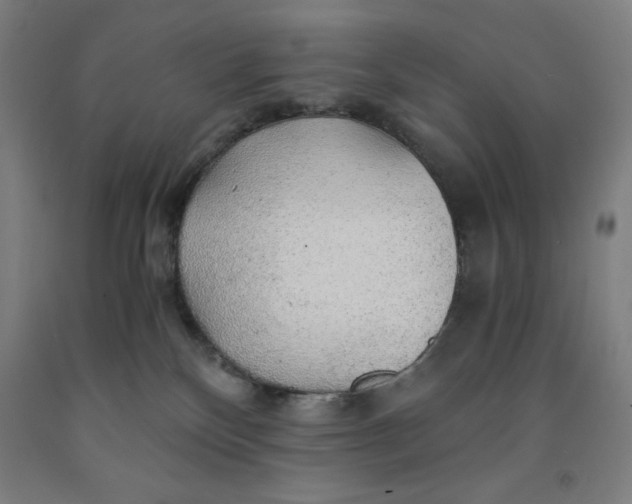 X0000091860136200709261302