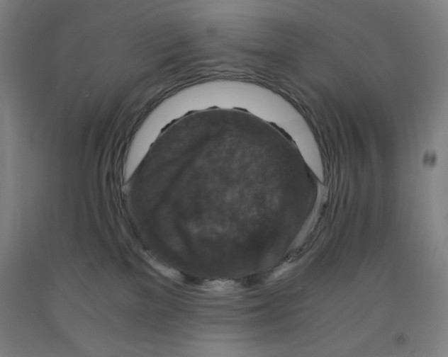 X0000091860137200709261302