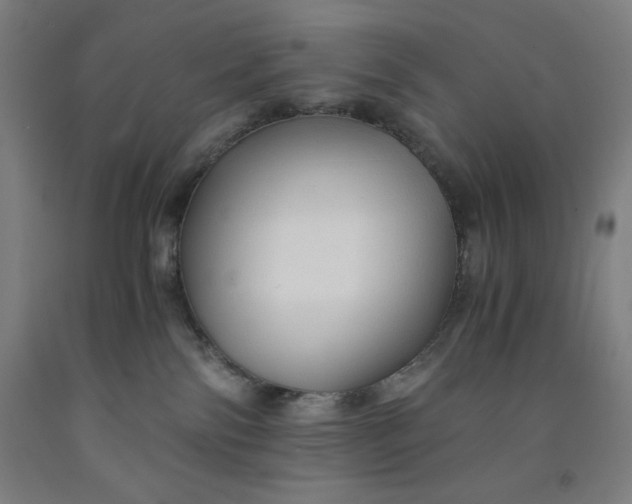 X0000091860138200709261302