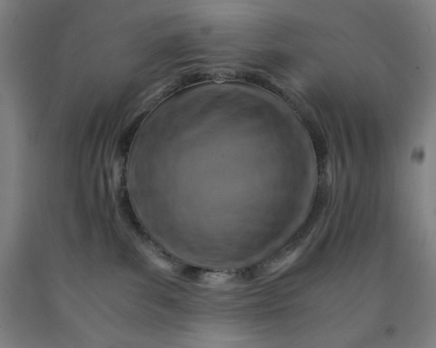 X0000091860139200709261302