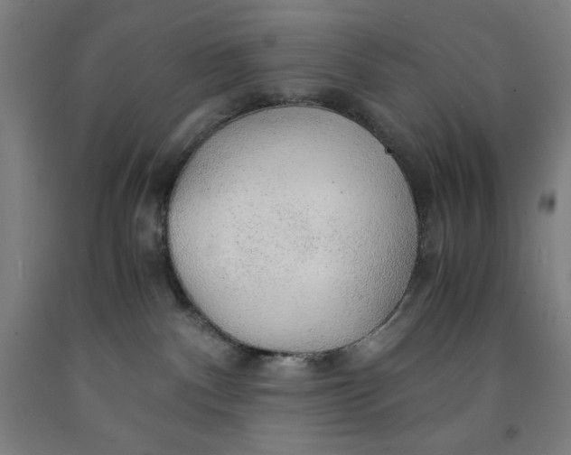 X0000091860140200709261302