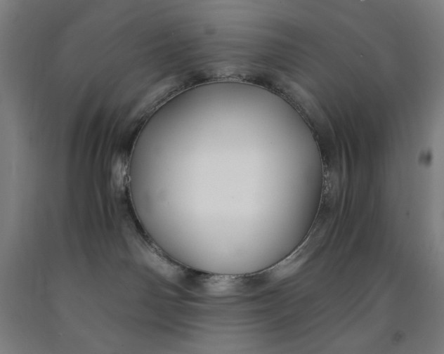 X0000091860142200709261302