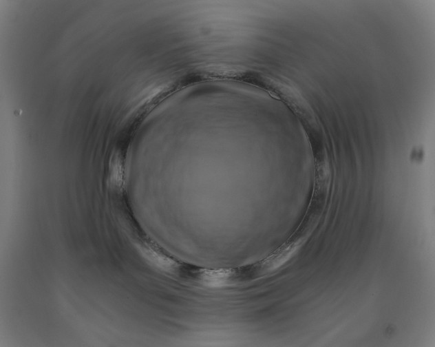 X0000091860143200709261302