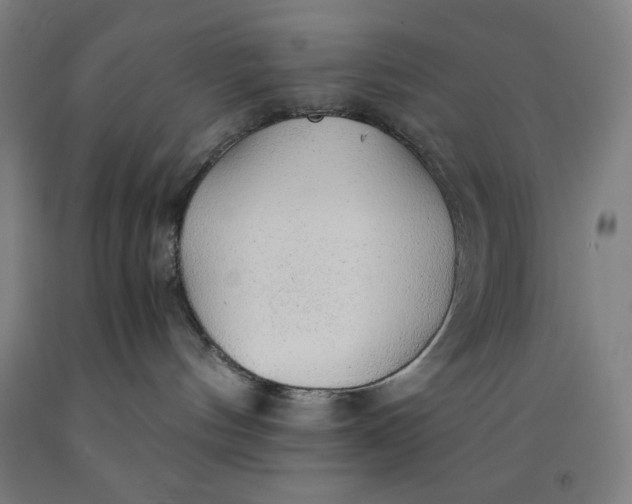 X0000091860144200709261302