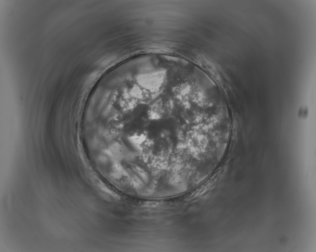 X0000091860145200709261301