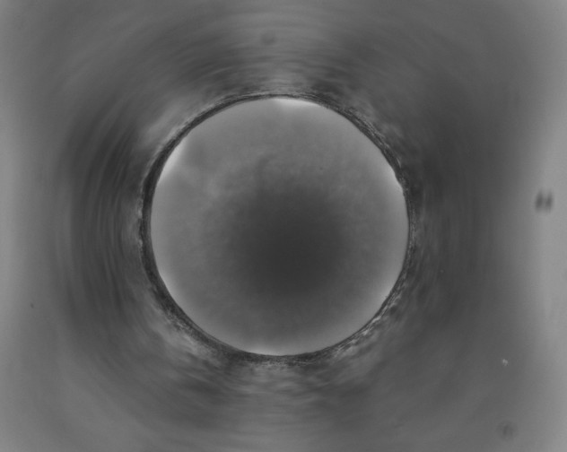 X0000091860146200709261301