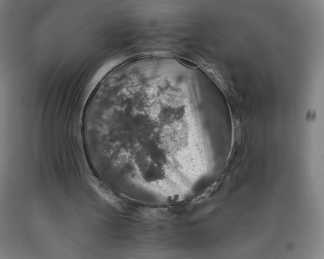 X0000091860147200709261301