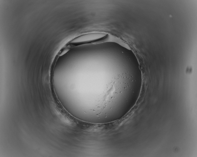 X0000091860148200709261301