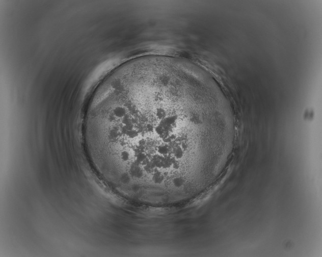 X0000091860149200709261301