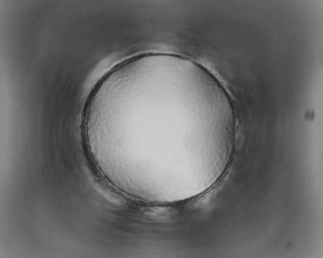 X0000091860151200709261301