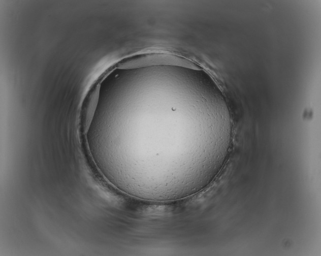 X0000091860152200709261301