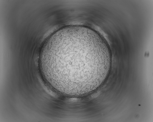 X0000091860153200709261301