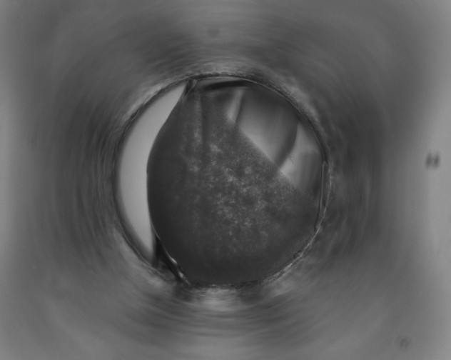 X0000091860154200709261302