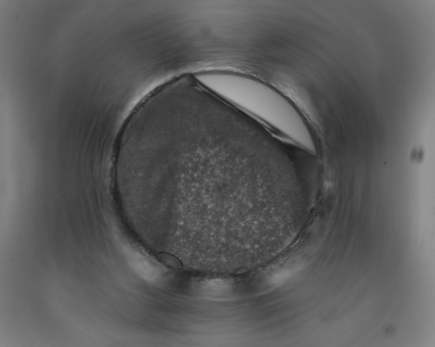 X0000091860156200709261302