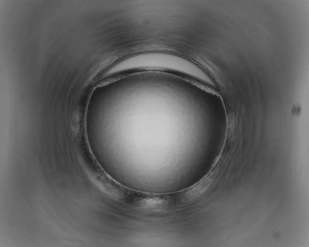 X0000091860158200709261302