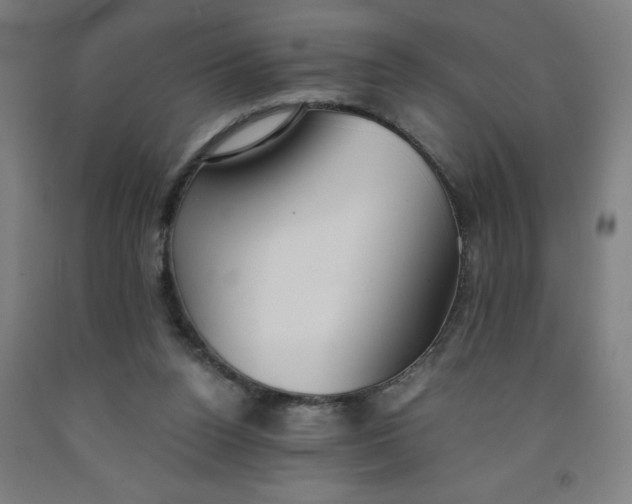 X0000091860160200709261302