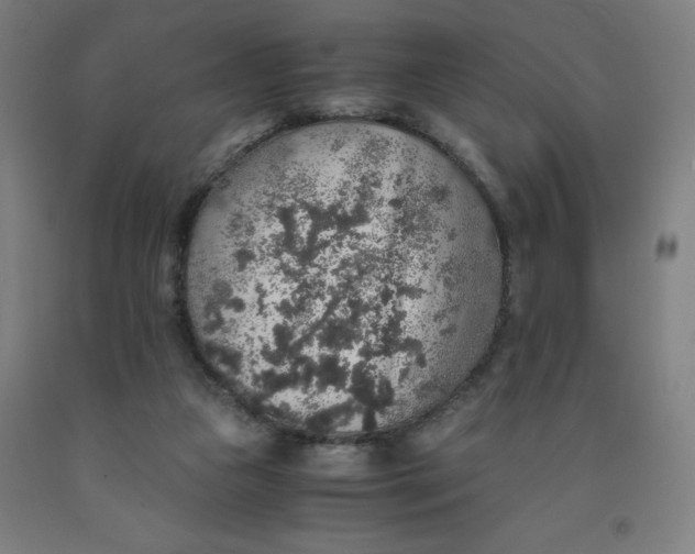 X0000091860161200709261302